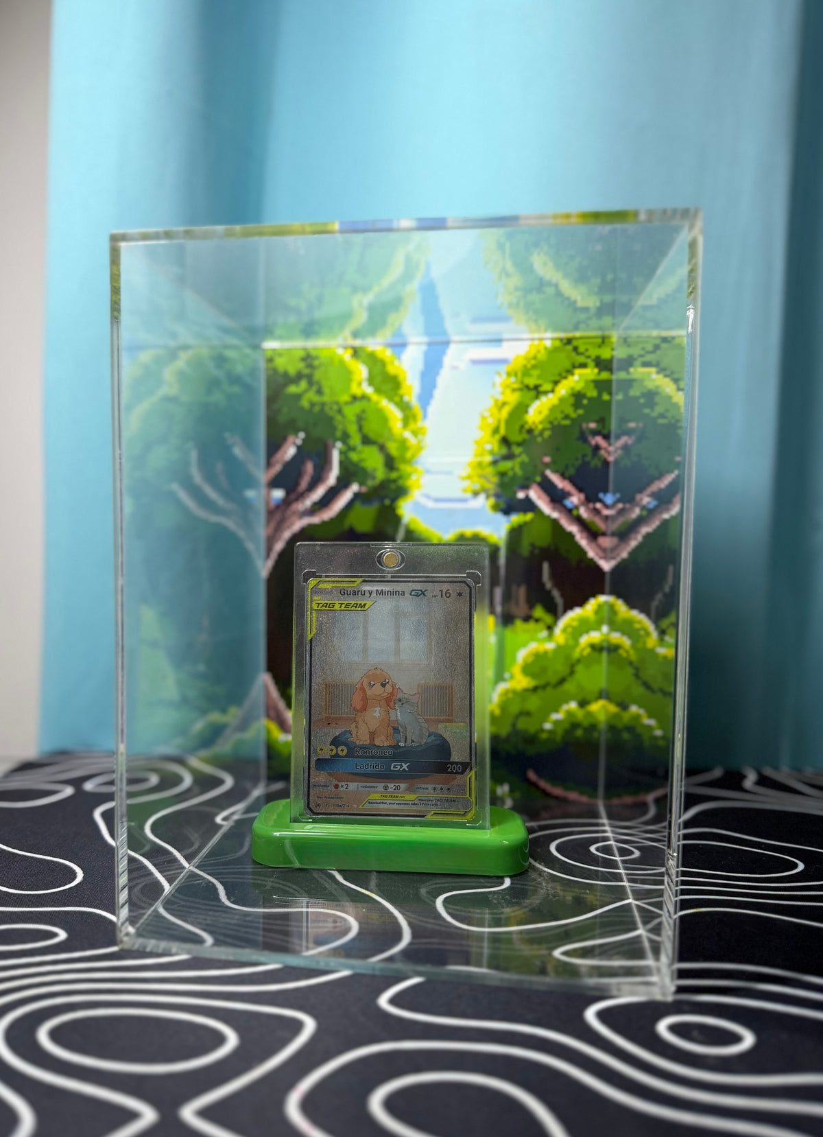 Capelo protector para cartas TCG — Acrílico transparente con base